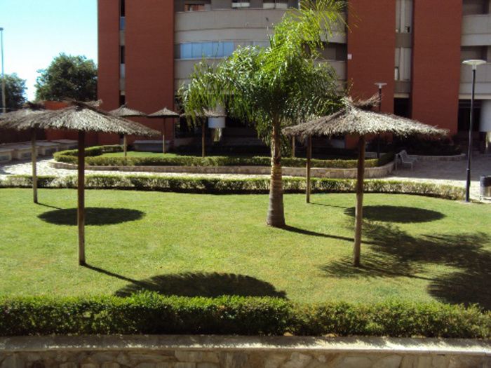 PISO AMUEBLADO EN JARDINES DE HERCULES