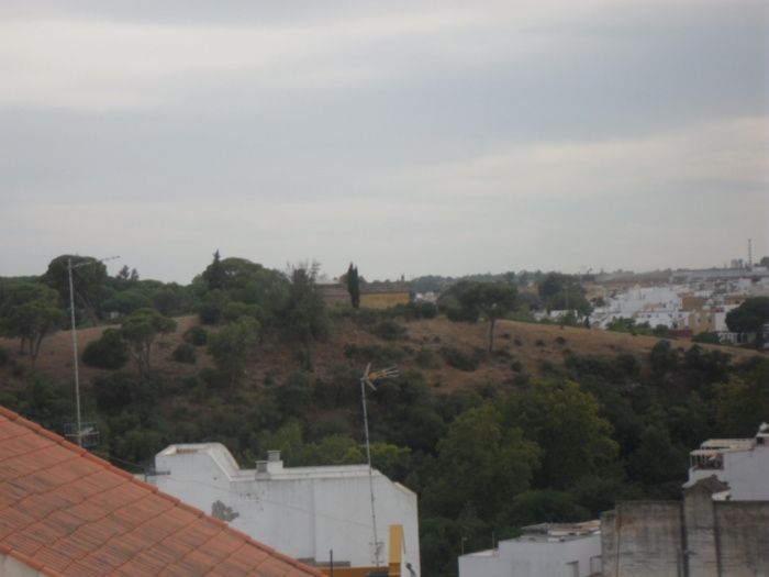 PRECIOSO APARTAMENTO-DUPLEX AMUEBLADO CON TERRAZA