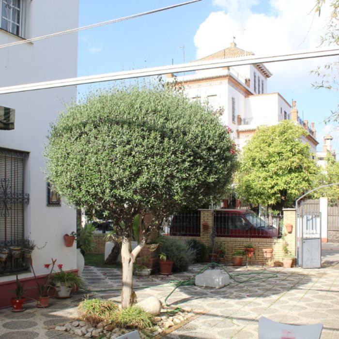 PRECIOSA CASA EN HELIOPOLIS