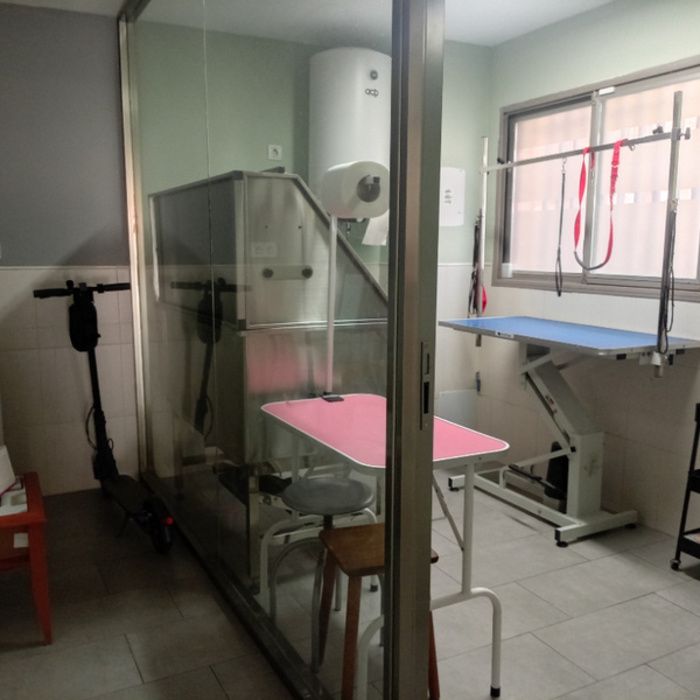 ALQUILER O TRASPASO DE LOCAL COMERCIAL