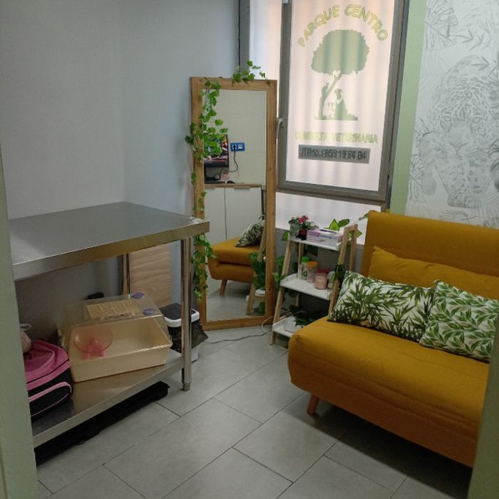 ALQUILER O TRASPASO DE LOCAL COMERCIAL