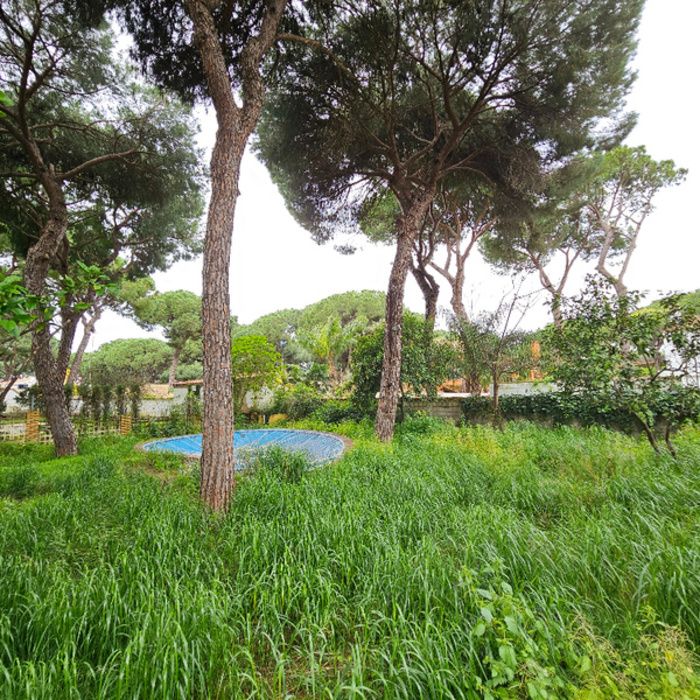CHALET CON PISCINA EN PINARES DE OROMANA