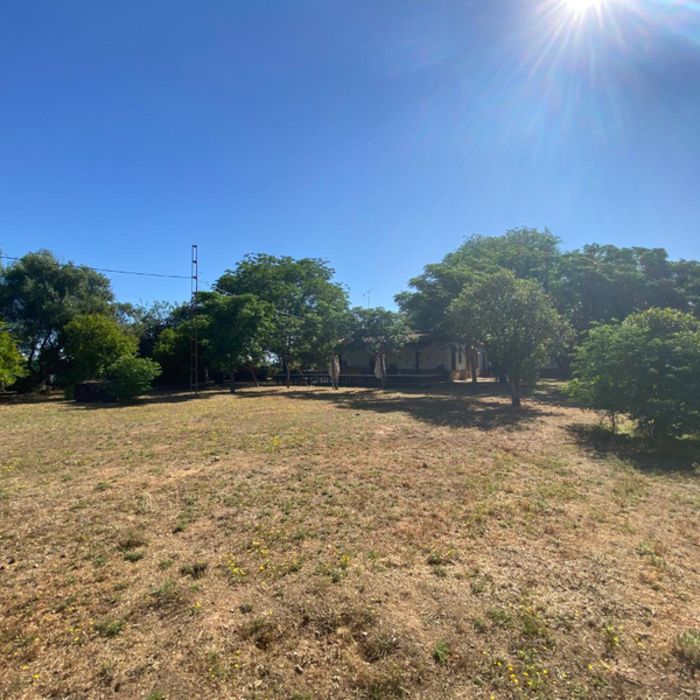 ¡Oportunidad Exclusiva! Finca rústica de Recreo con Chalet y Piscina a 10 km de Sevilla