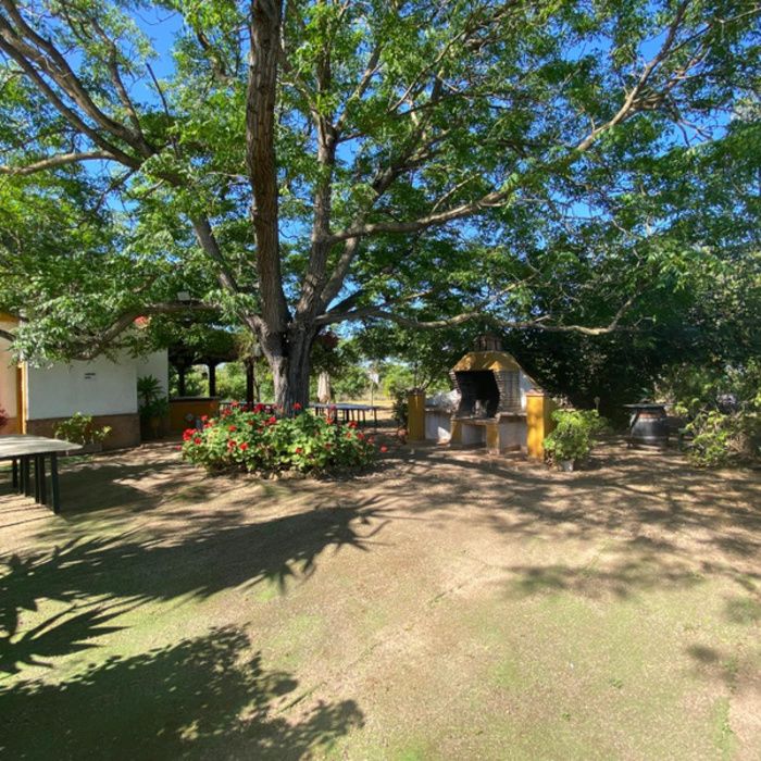 ¡Oportunidad Exclusiva! Finca rústica de Recreo con Chalet y Piscina a 10 km de Sevilla