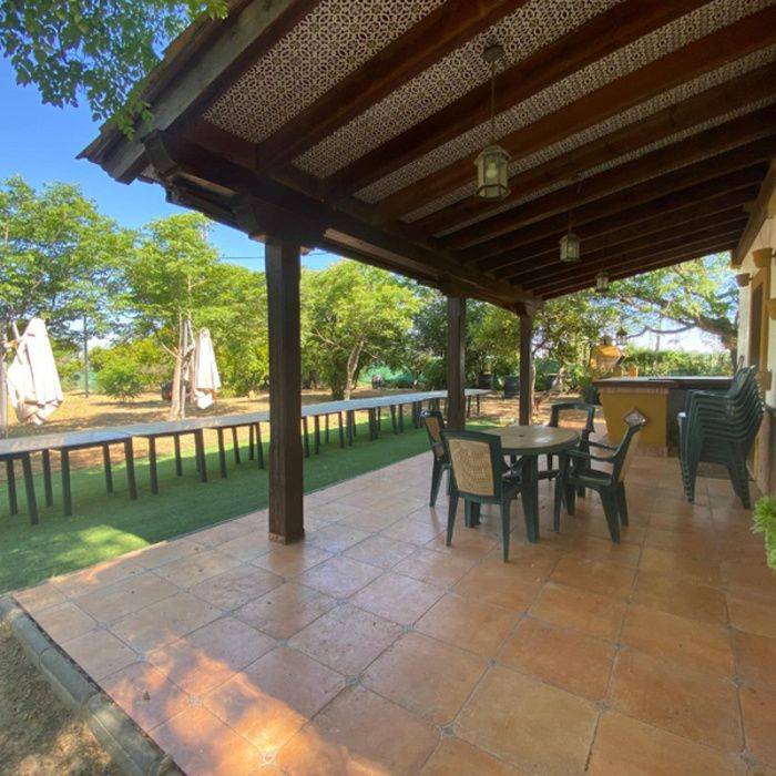 ¡Oportunidad Exclusiva! Finca rústica de Recreo con Chalet y Piscina a 10 km de Sevilla