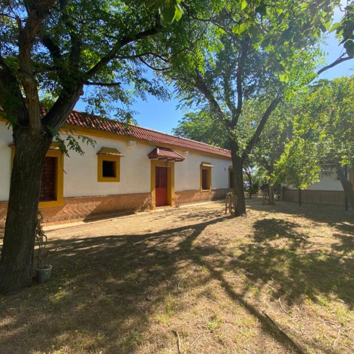 ¡Oportunidad Exclusiva! Finca rústica de Recreo con Chalet y Piscina a 10 km de Sevilla
