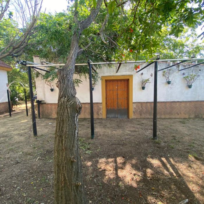 ¡Oportunidad Exclusiva! Finca rústica de Recreo con Chalet y Piscina a 10 km de Sevilla
