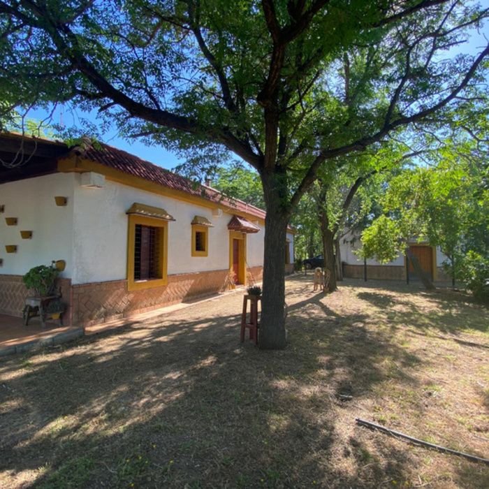 ¡Oportunidad Exclusiva! Finca rústica de Recreo con Chalet y Piscina a 10 km de Sevilla