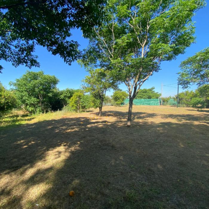 ¡Oportunidad Exclusiva! Finca rústica de Recreo con Chalet y Piscina a 10 km de Sevilla