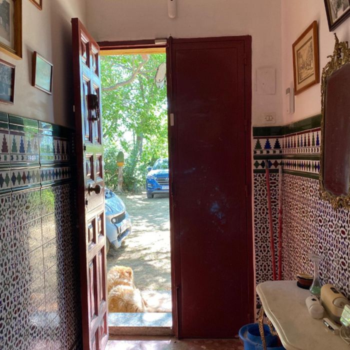 ¡Oportunidad Exclusiva! Finca rústica de Recreo con Chalet y Piscina a 10 km de Sevilla