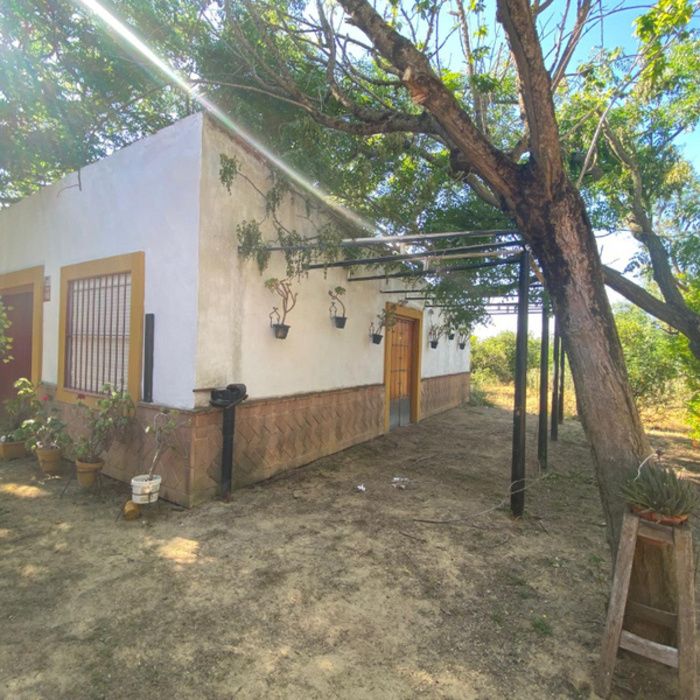 ¡Oportunidad Exclusiva! Finca rústica de Recreo con Chalet y Piscina a 10 km de Sevilla