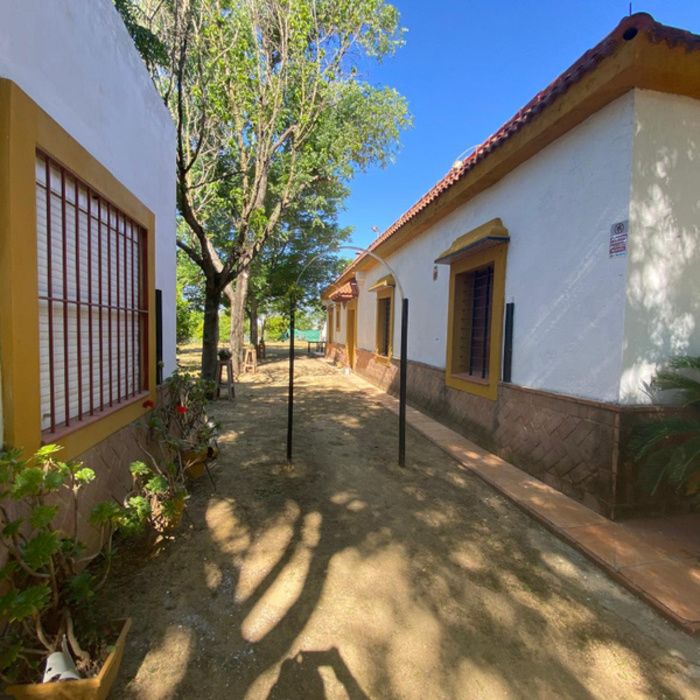 ¡Oportunidad Exclusiva! Finca rústica de Recreo con Chalet y Piscina a 10 km de Sevilla