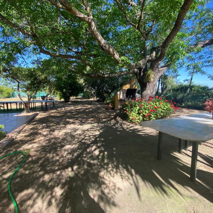 ¡Oportunidad Exclusiva! Finca rústica de Recreo con Chalet y Piscina a 10 km de Sevilla