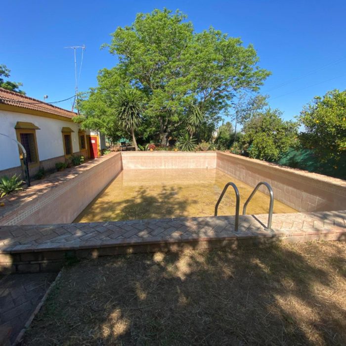 ¡Oportunidad Exclusiva! Finca rústica de Recreo con Chalet y Piscina a 10 km de Sevilla