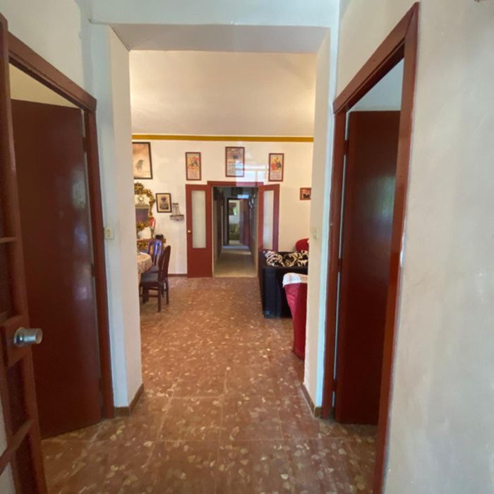 ¡Oportunidad Exclusiva! Finca rústica de Recreo con Chalet y Piscina a 10 km de Sevilla