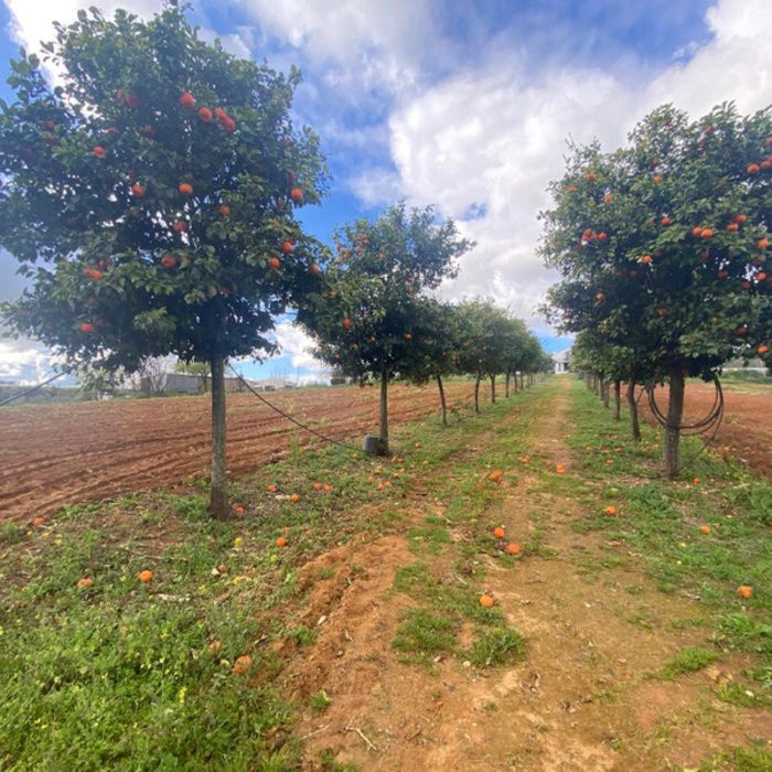 PRECIOSA FINCA DE RECREO