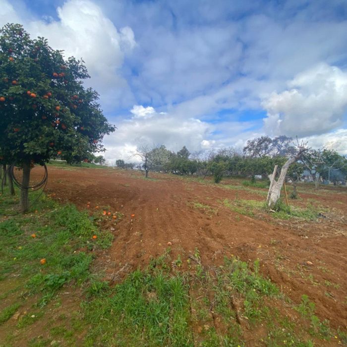 PRECIOSA FINCA DE RECREO