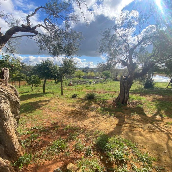 PRECIOSA FINCA DE RECREO