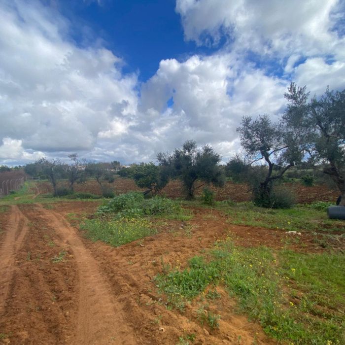 PRECIOSA FINCA DE RECREO