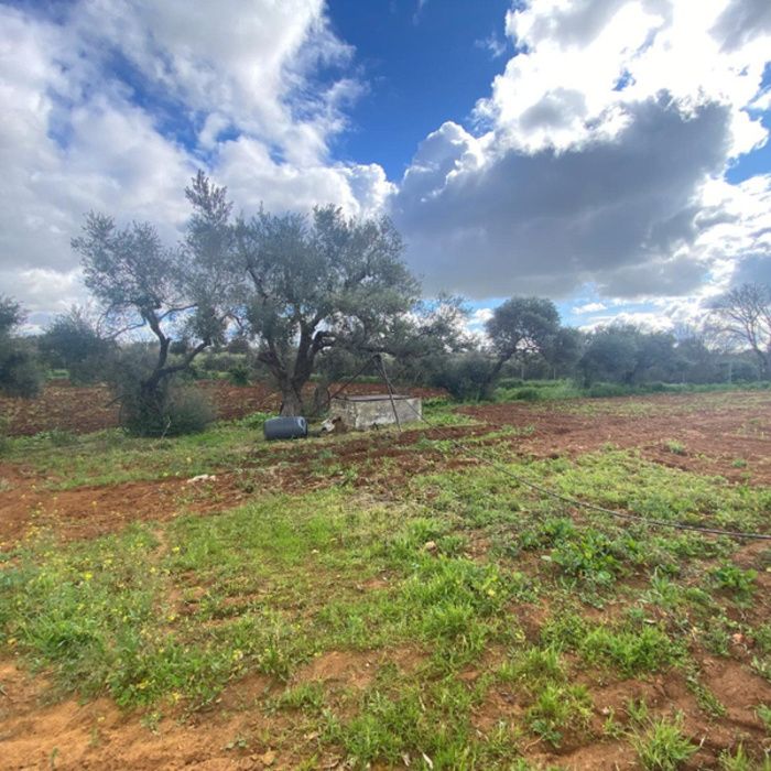 PRECIOSA FINCA DE RECREO