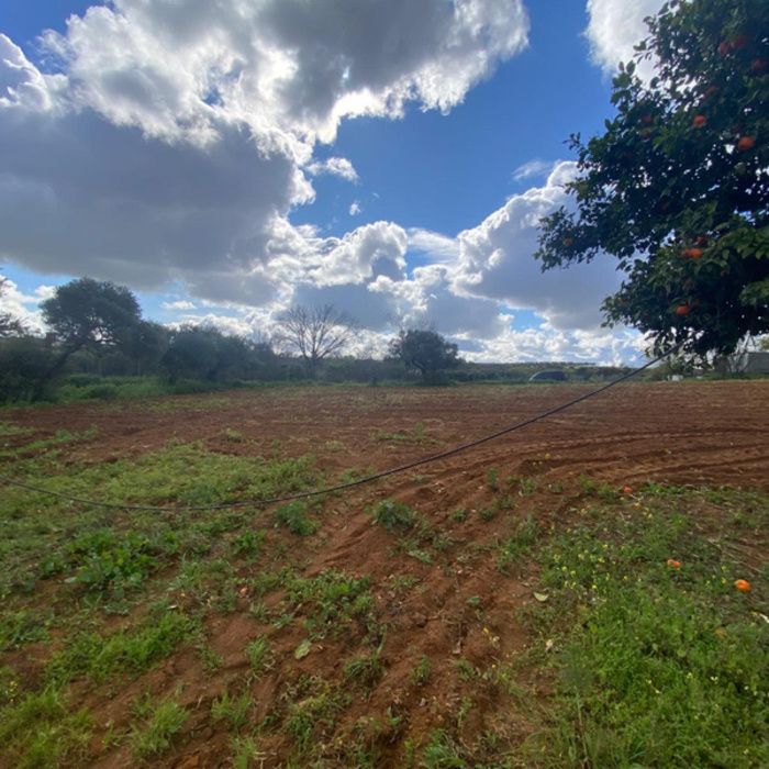 PRECIOSA FINCA DE RECREO