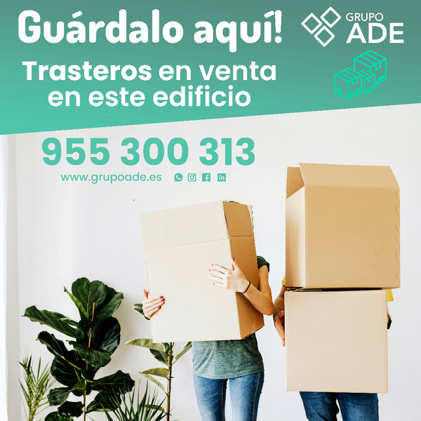 TRASTEROS EN EDIFICIO SEVILLA II