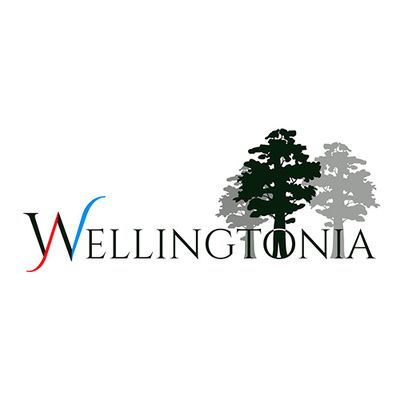 Logo promoción Residencial Wellingtonia